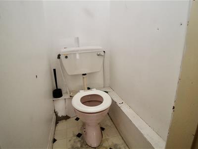 Picture 7